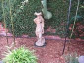 Black Bamboo, planted in a re-purposed courtyard fish pond, New Orleans